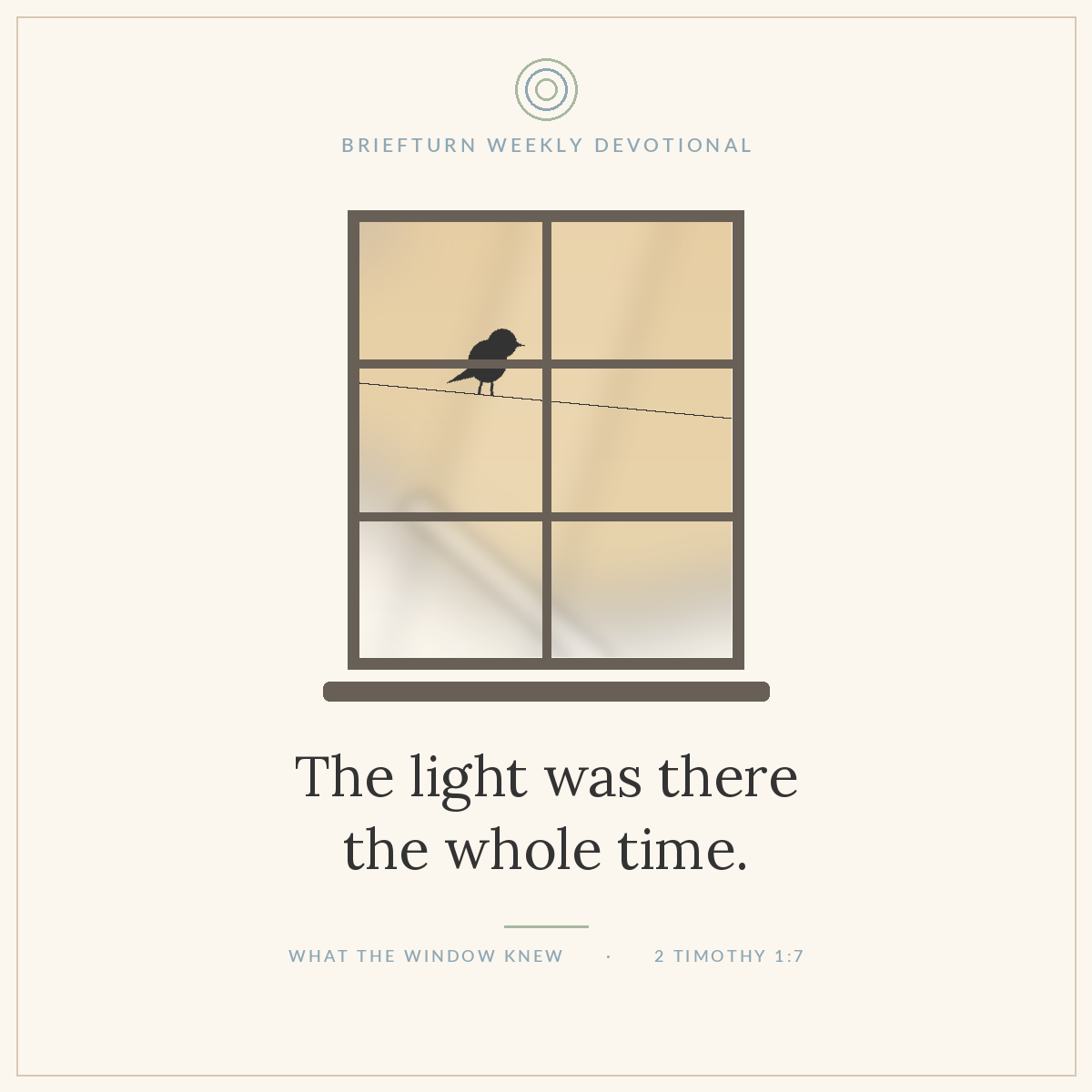 A sunlit windowpane with one clean streak wiped across the dusty glass; a small sparrow rests on a wire outside in soft morning light.